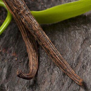 Handcrafted Simply Vanilla Body Balm